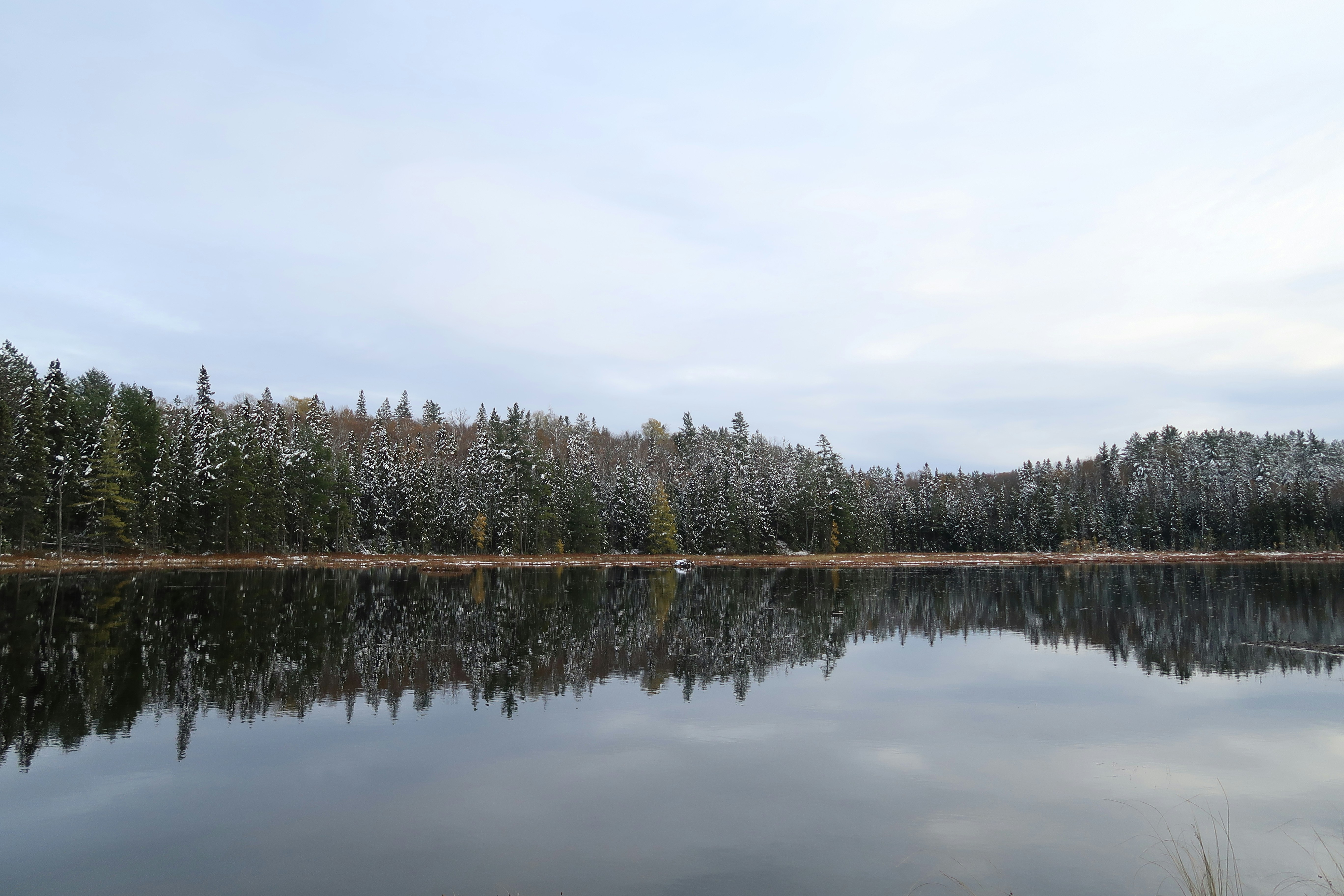 Photo by brandoncardoso