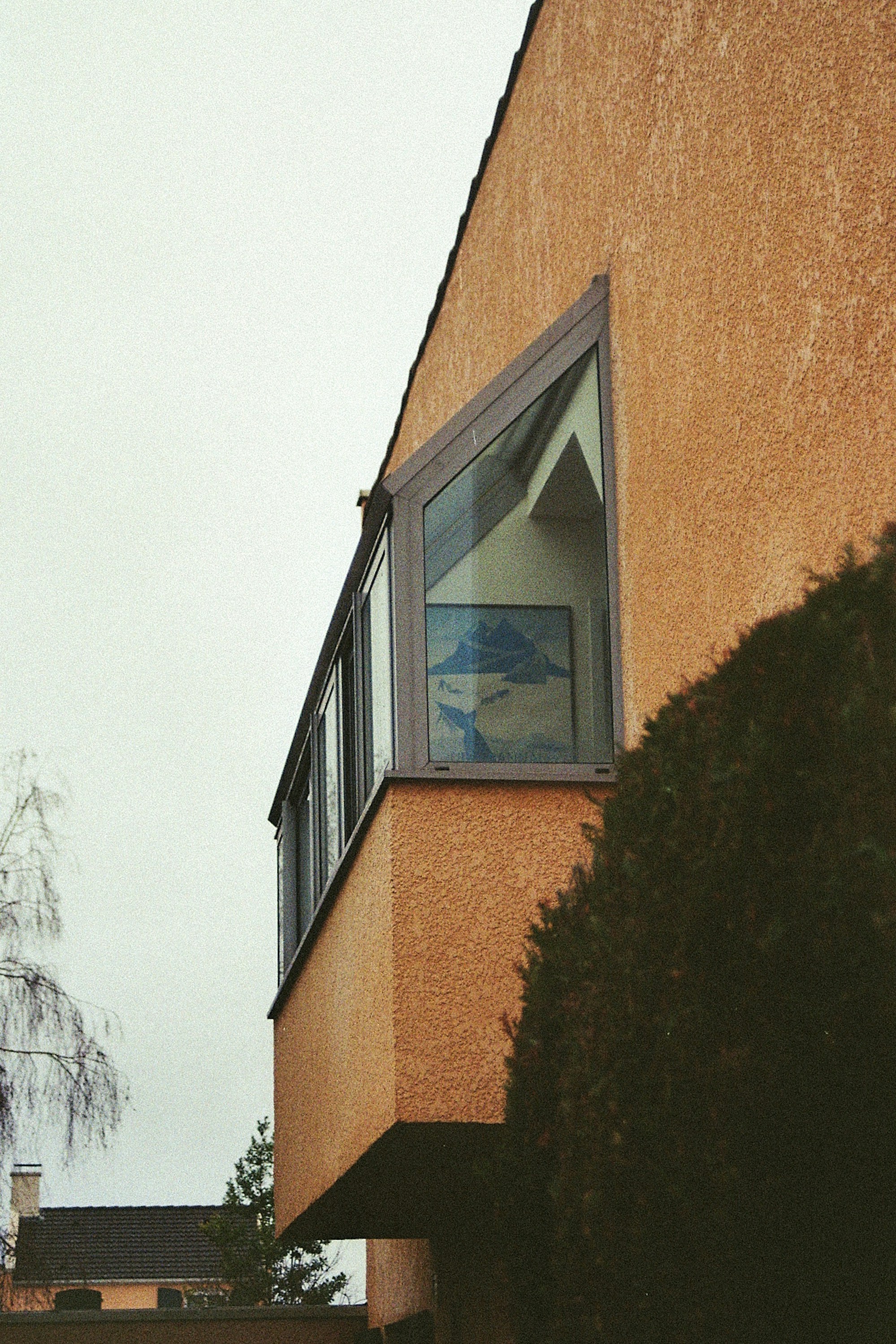 Photo by matreding