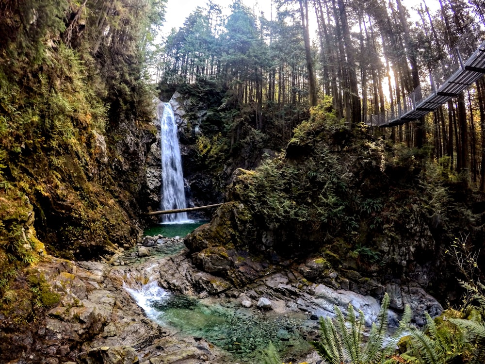 waterfalls in the middle of the forest during daytime