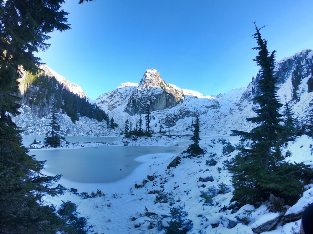 snow covered mountain and trees during daytime