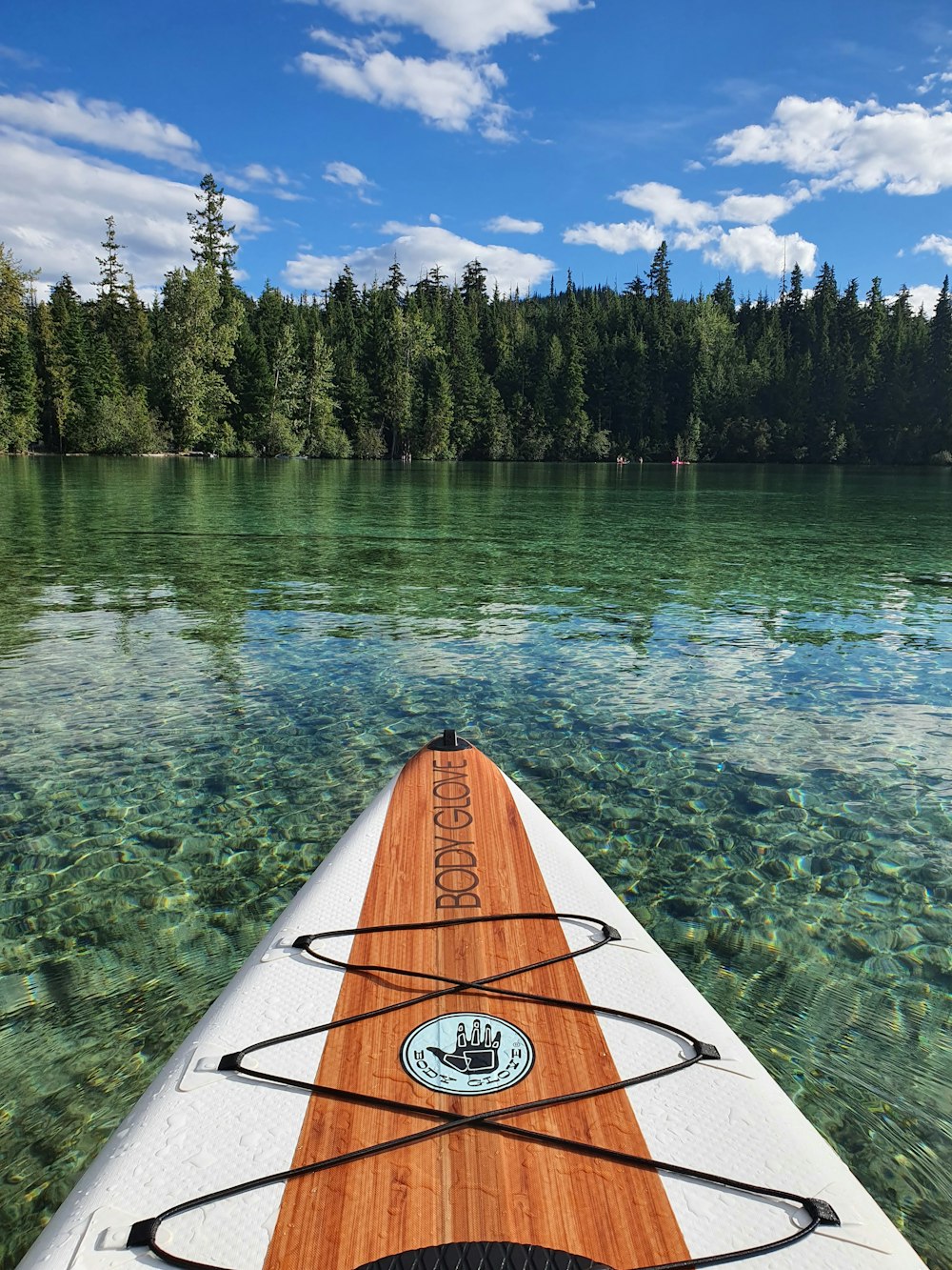 brown kayak on green lake near green trees during daytime
