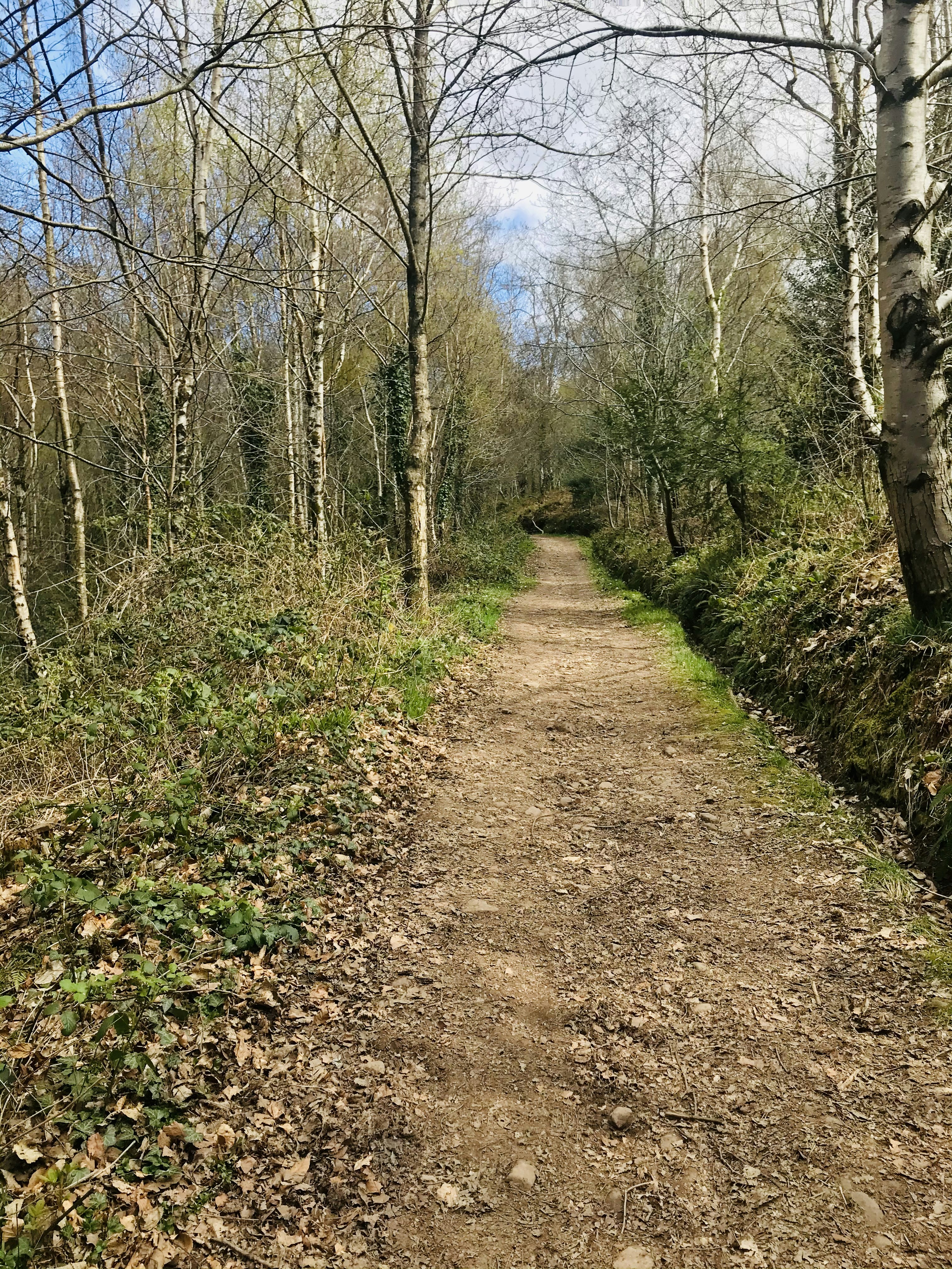 Photo by andywatkins