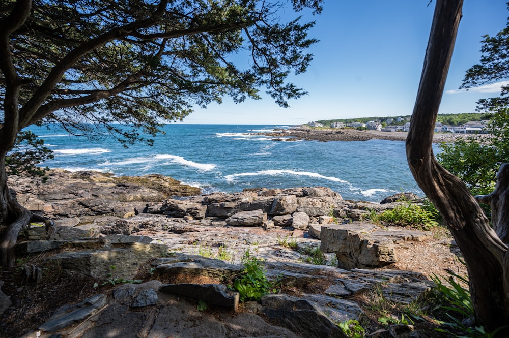 brown rocky shore near body of water during daytime