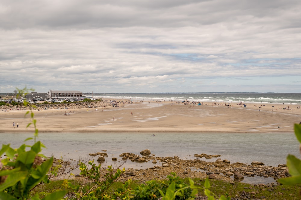 people on beach during daytime