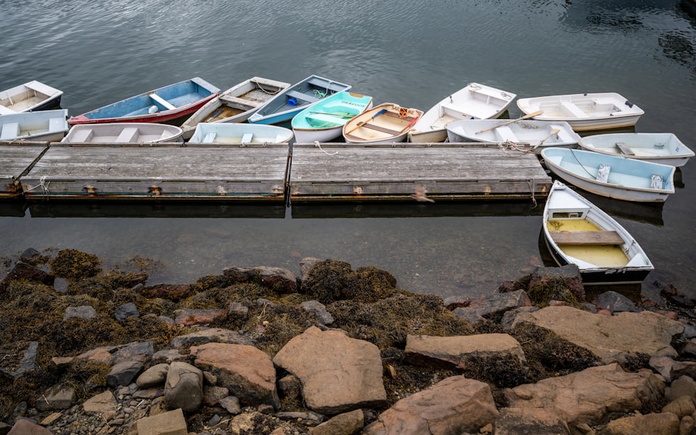 white and blue boats on dock during daytime