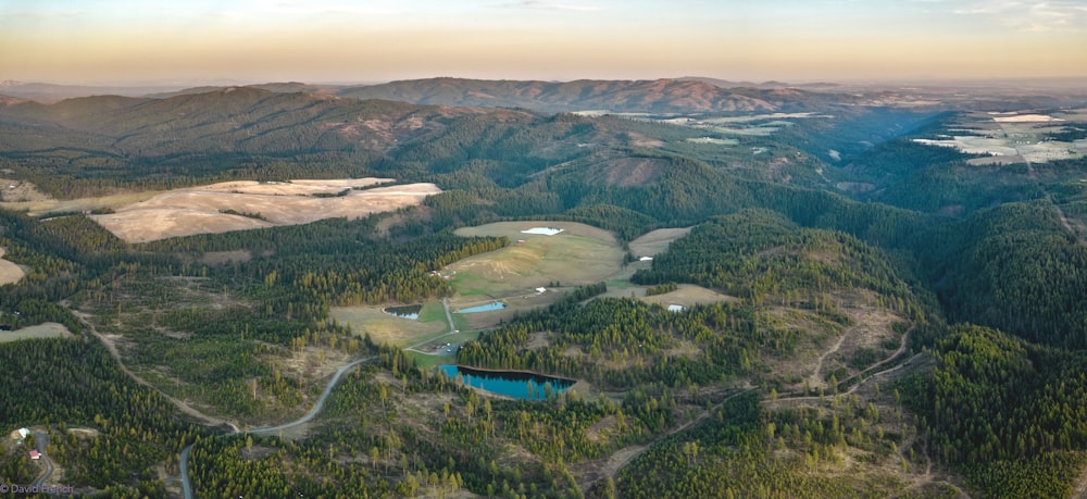 aerial view of green trees and river during daytime