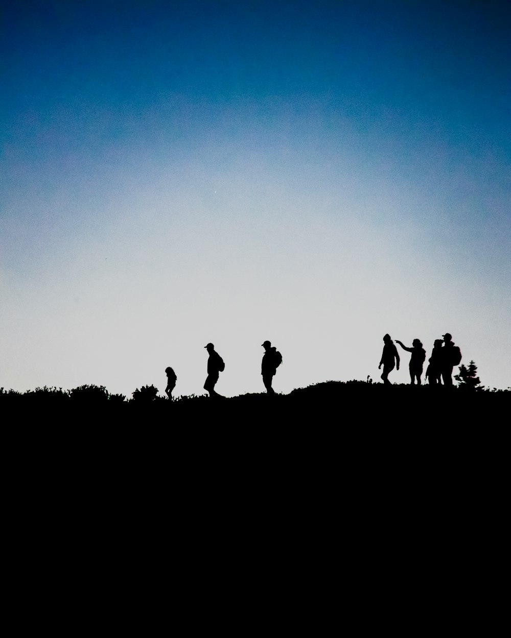 silhouette of people on top of hill during daytime