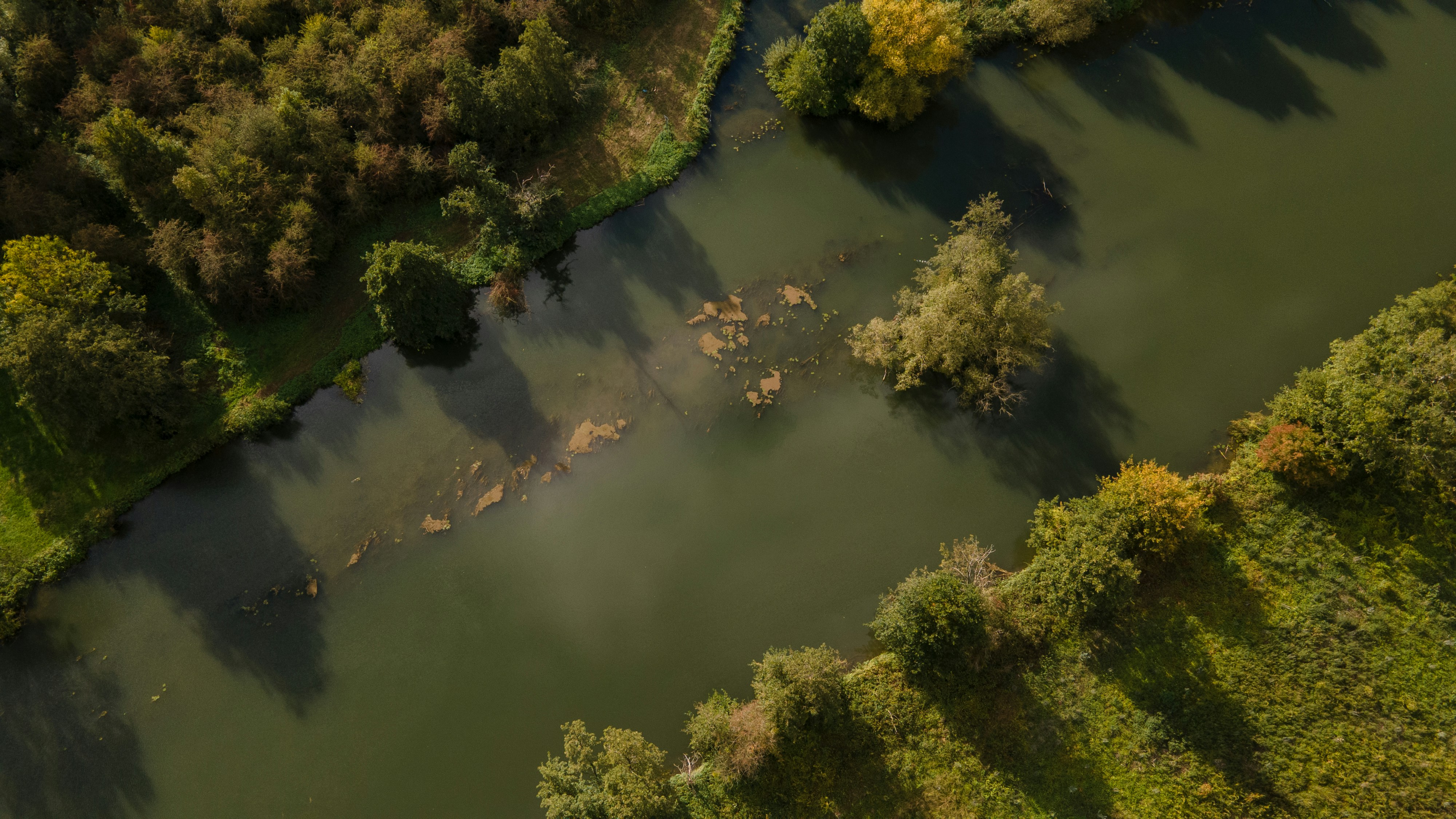 Photo by guillaumevdn