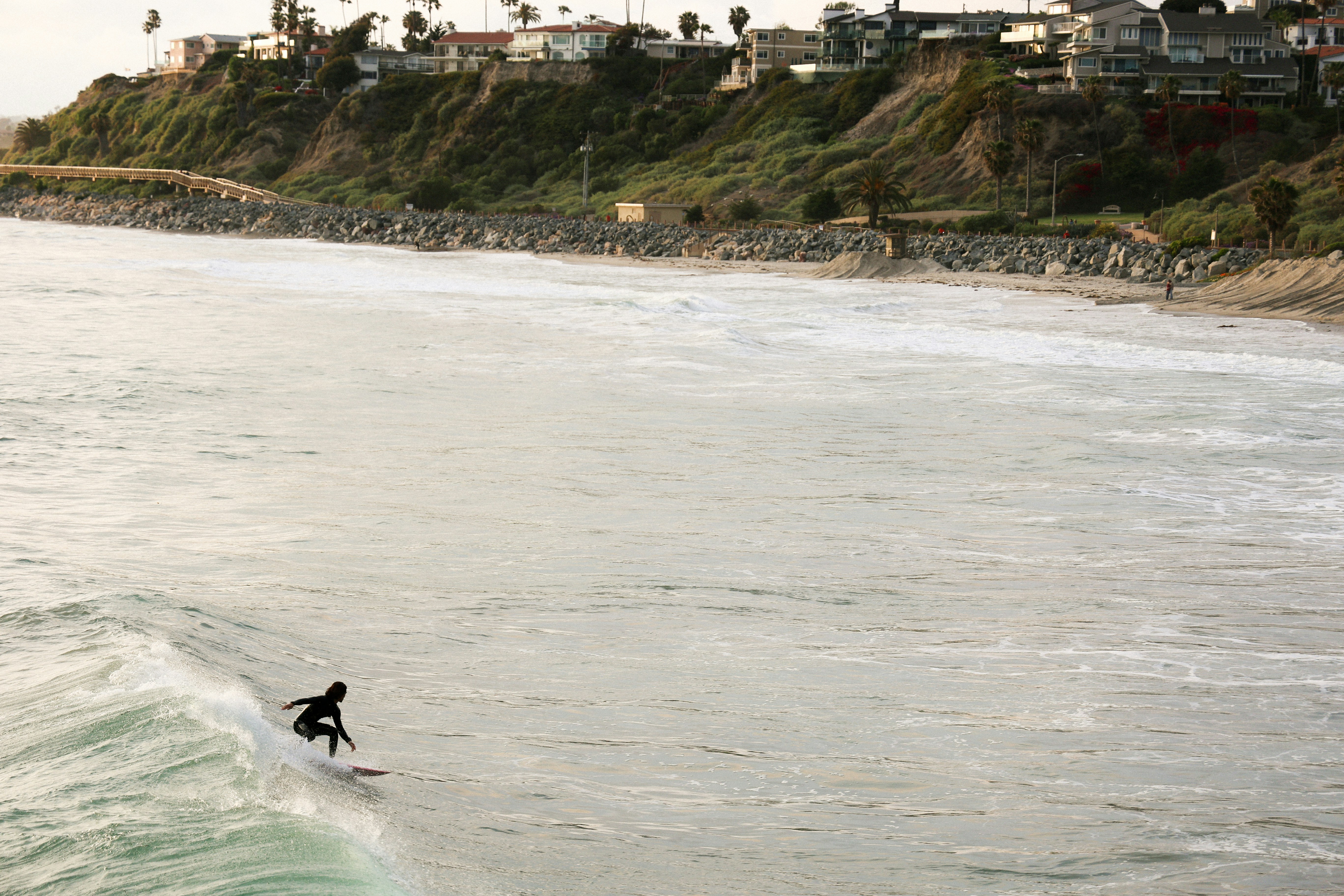 Photo by reednaliboff