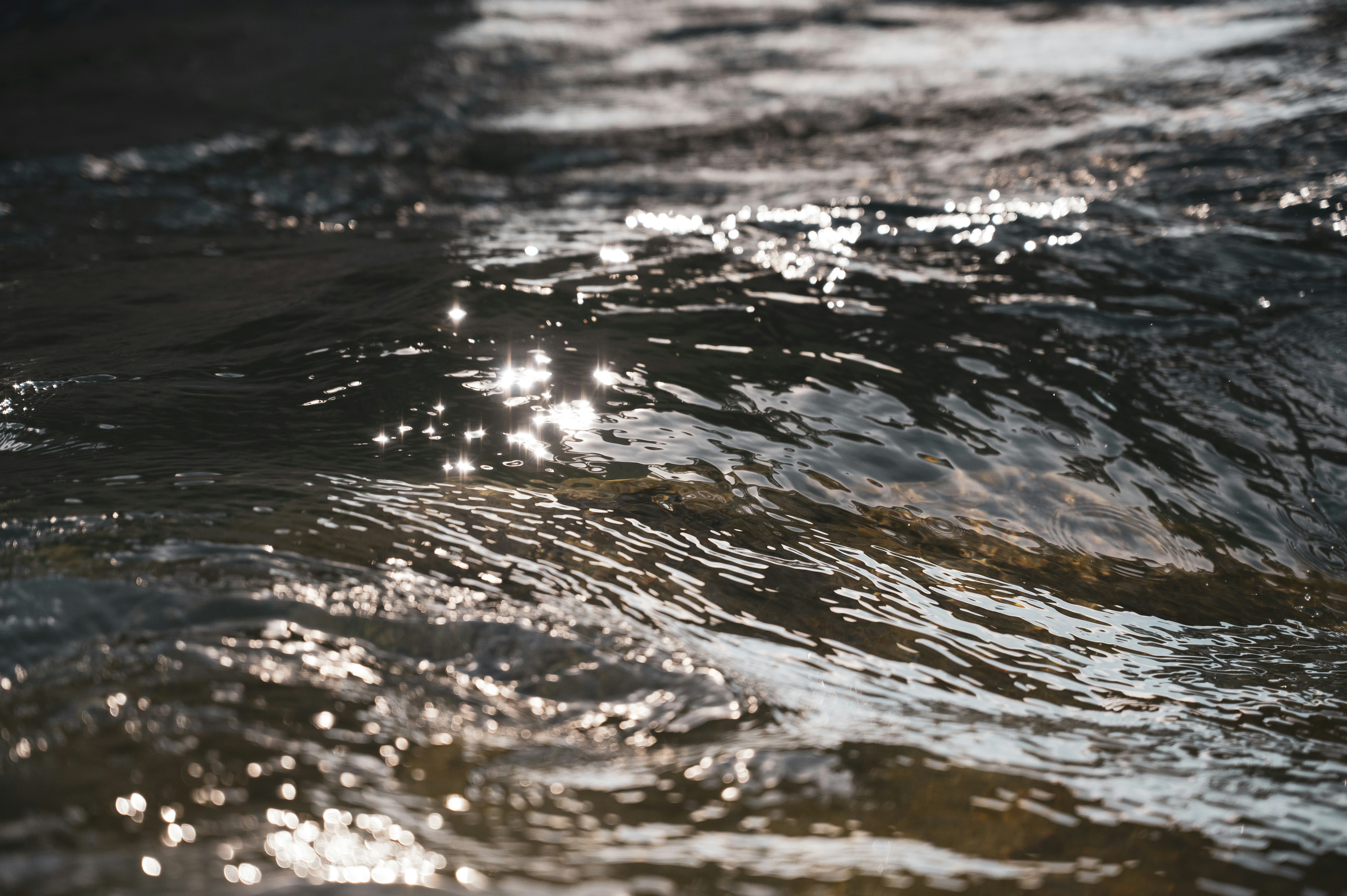 Photo by ryunosuke_kikuno