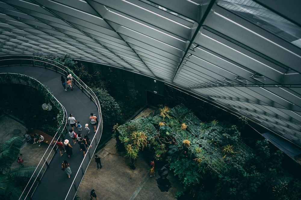 people walking on gray concrete road during daytime