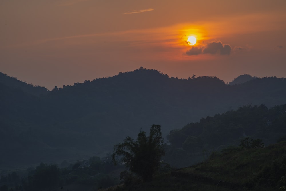 silhueta das árvores durante o pôr do sol