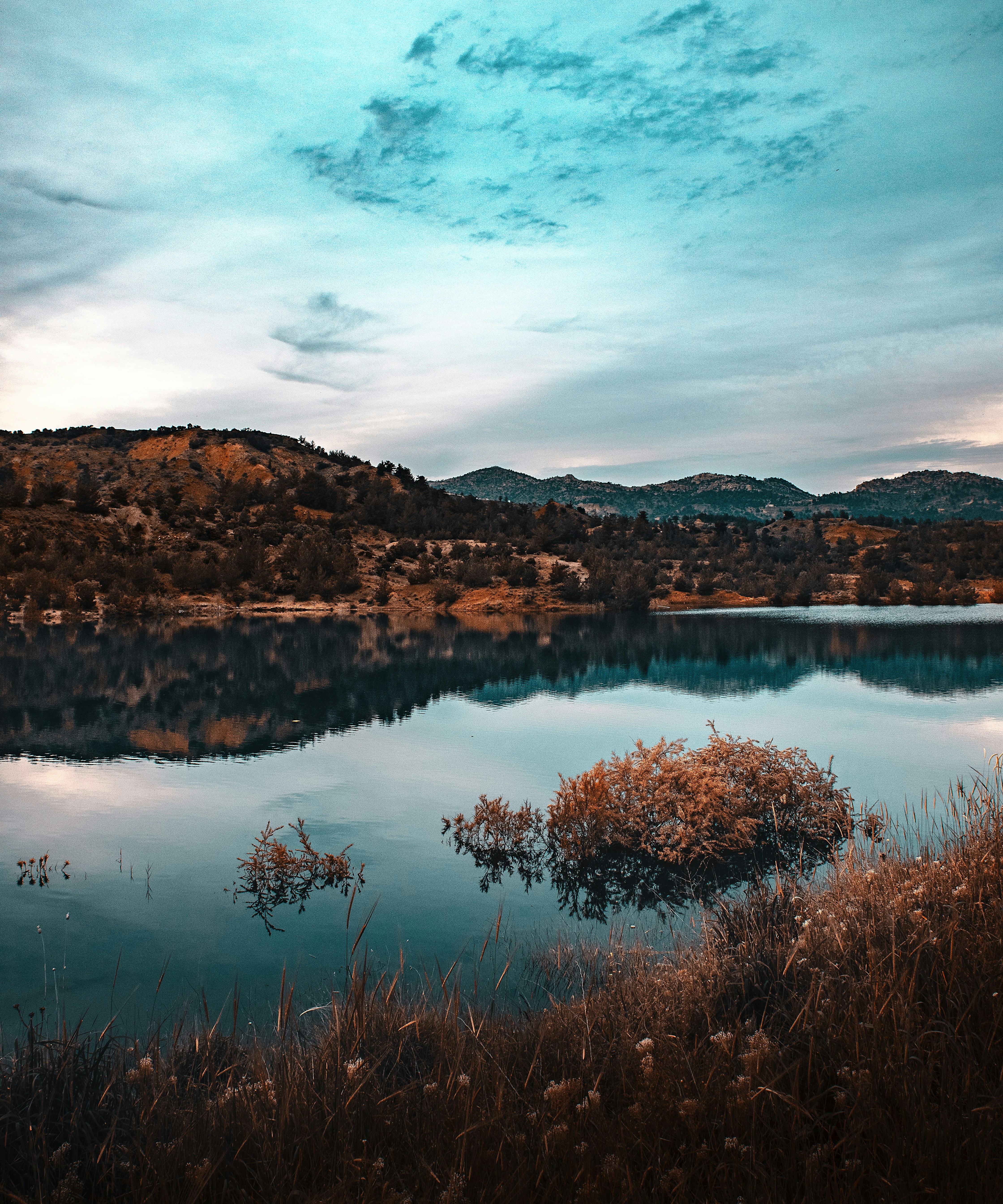 Photo by diyarshahbaz