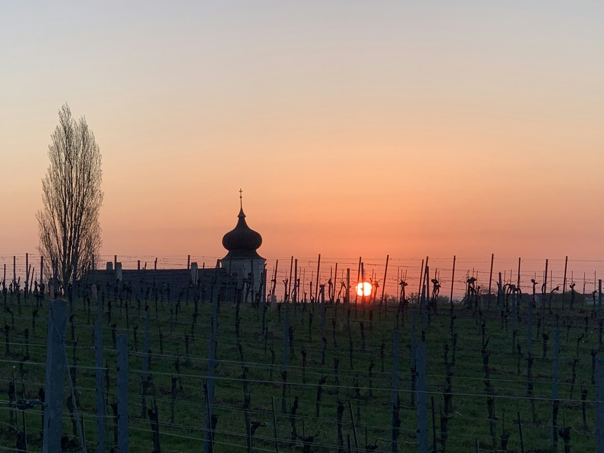 gray computer monitor