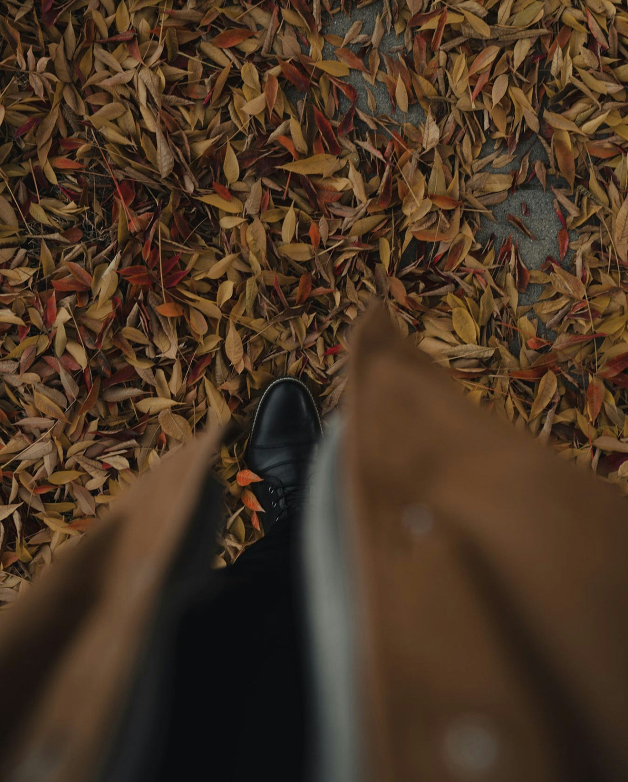 Photo by lazrodriguez__