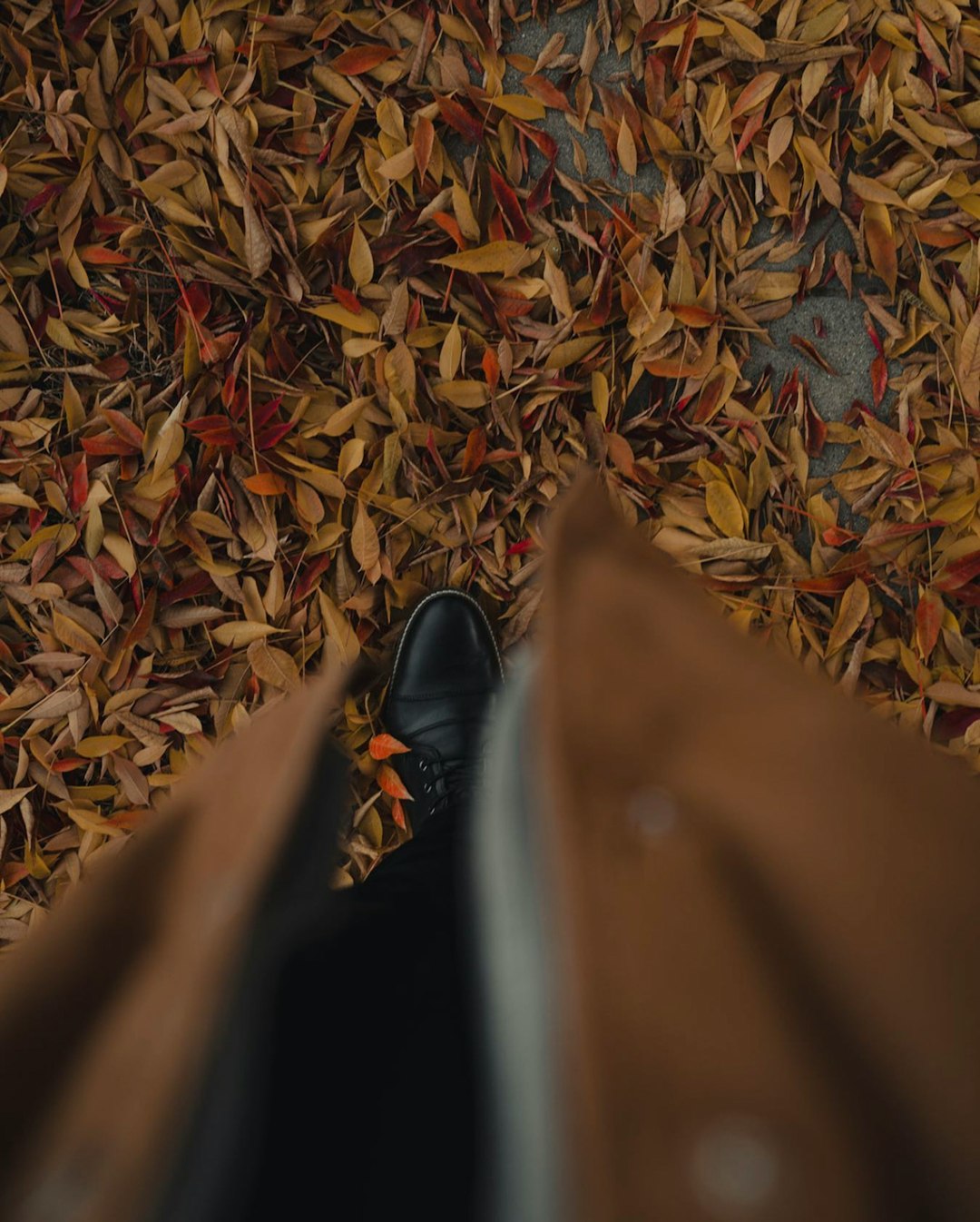 person in brown pants and black shoes standing on dried leaves