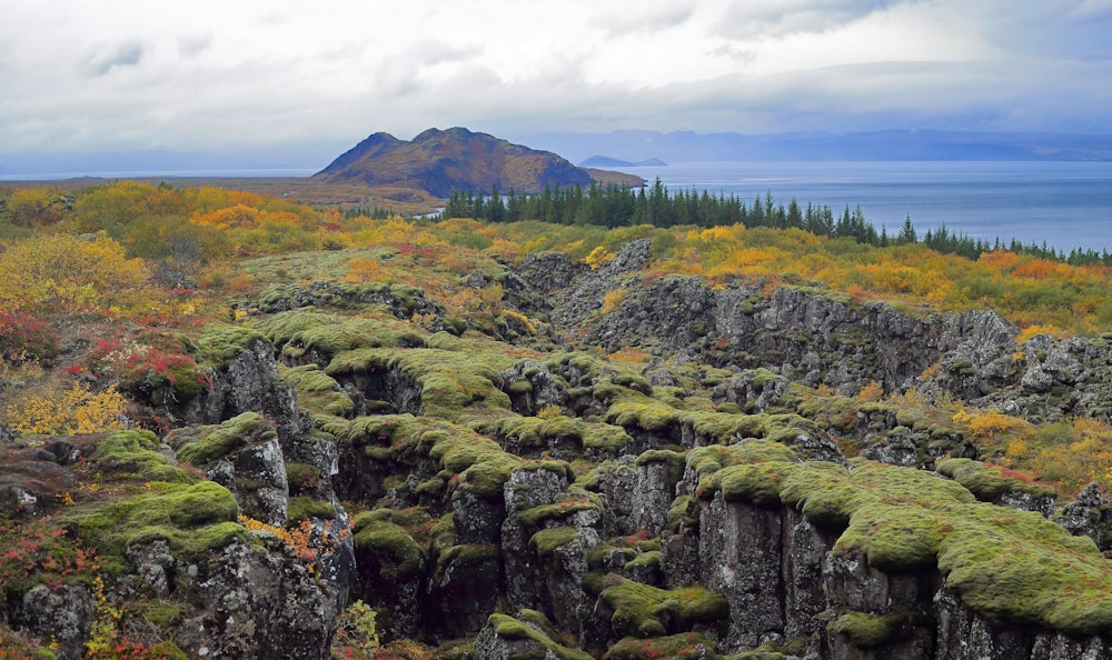 green and brown mountain under white clouds during daytime