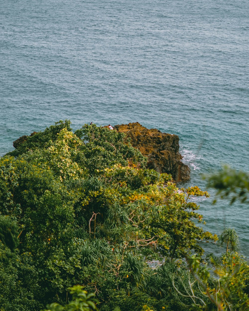 green moss on brown rock formation near body of water during daytime