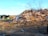 A large pile of debris consisting of wooden planks and broken materials is situated on a rough dirt ground. Sparse trees without leaves appear in the background along with a building and some road signs.
