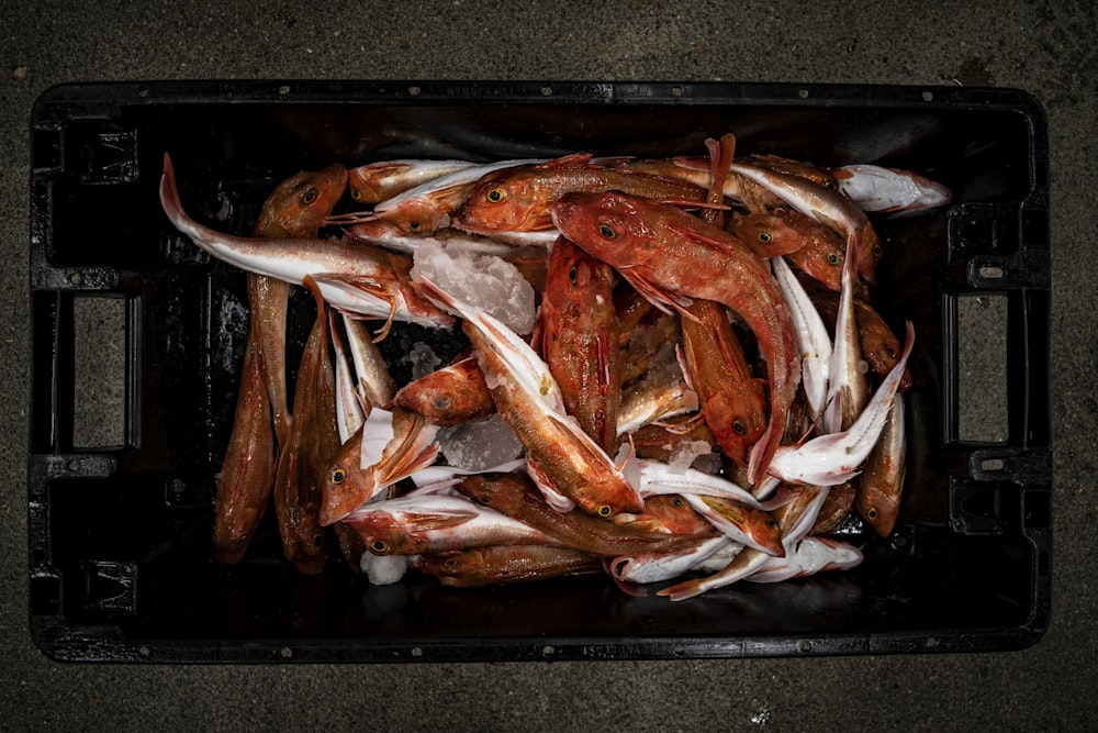 raw fish on black tray