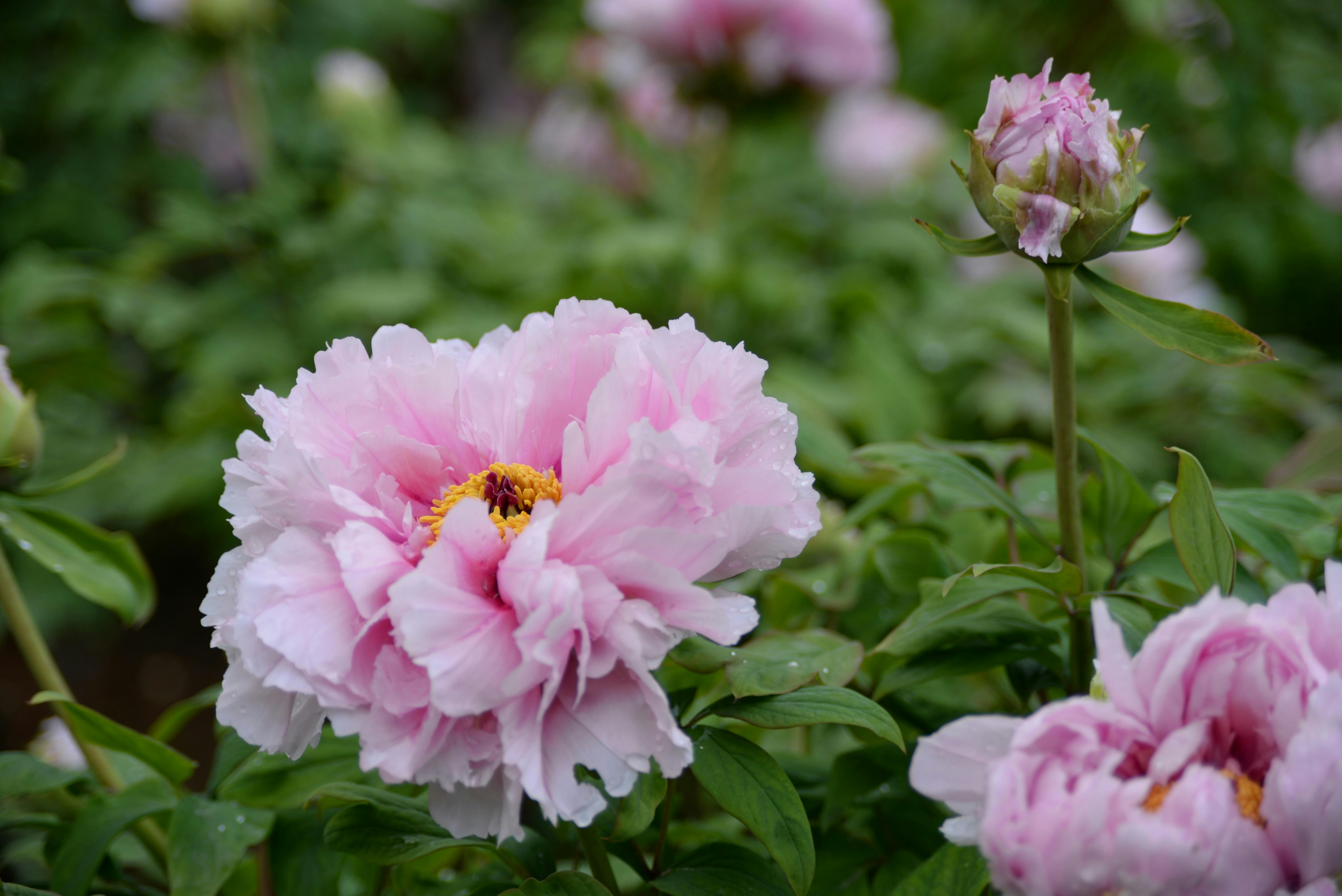 Photo by scarlettzhao