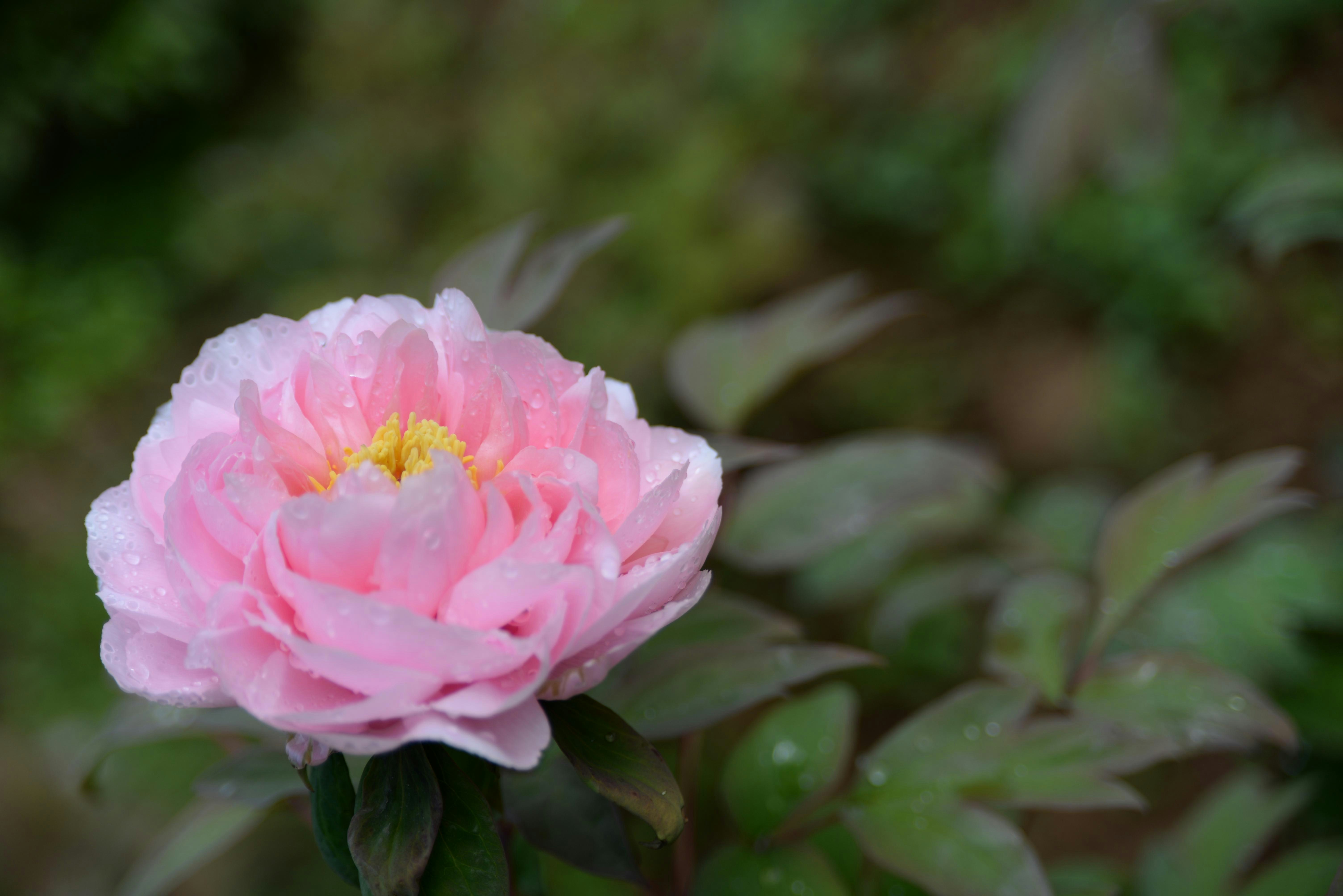 Photo by scarlettzhao