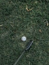 Close-up of a golf ball resting on freshly cut grass near a sand bunker.