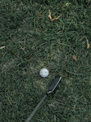 Close-up of a golf ball resting on freshly cut grass near a sand bunker.