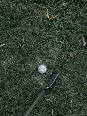 Close-up of a sleek driver head resting on fresh green grass at dawn.