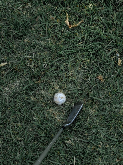 A close-up of a sleek golf club head resting on freshly cut green grass.