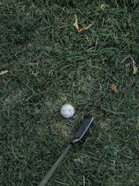 A golf ball lies on grass, positioned in front of a golf club. The scene captures a close-up view of the ground with green blades of grass surrounding the ball and club head.