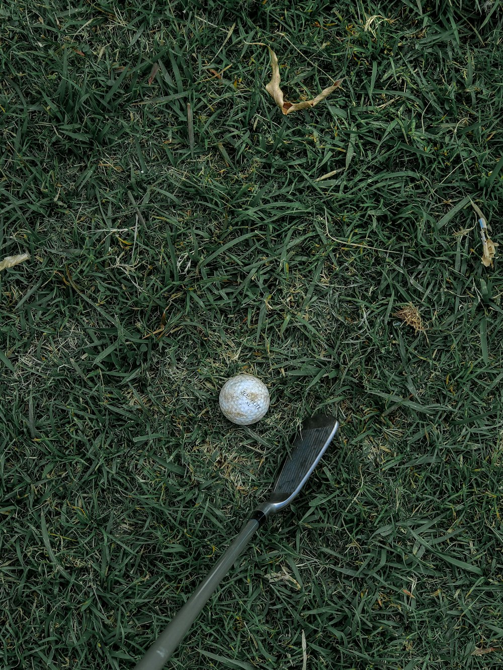 silver golf club on green grass field