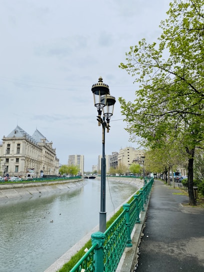 A lamppost stands by a river with buildings in the background. There is a pathway lined with trees and a green railing running alongside the water. Ducks can be spotted swimming in the river.