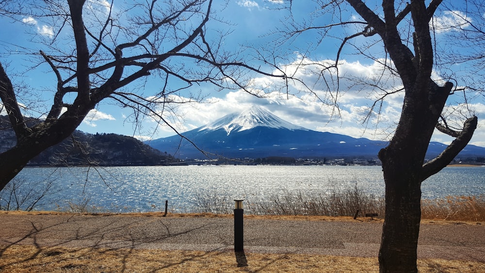 brown wooden post near body of water and snow covered mountain during daytime