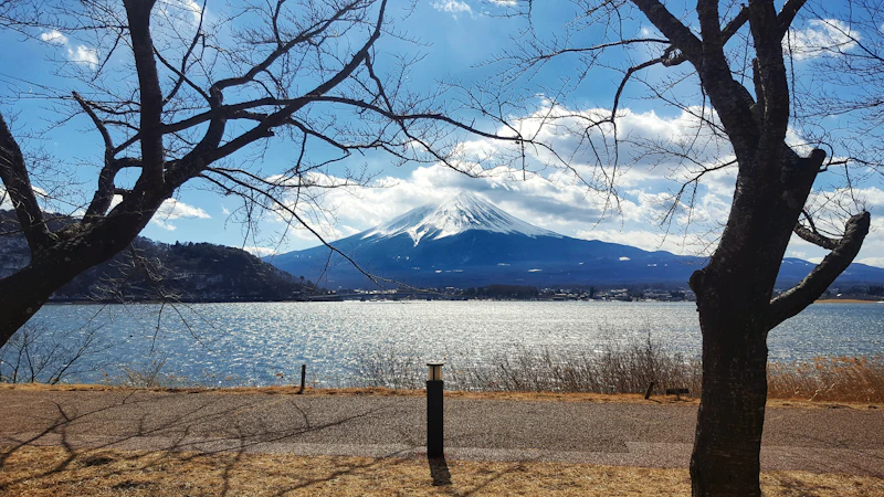 Fuefuki Mt. Fuji photo session