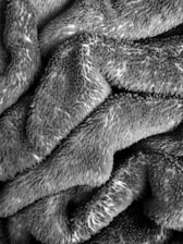 Soft, textured fabric with a fuzzy, plush appearance, displaying folds and creases that create a sense of depth and coziness.