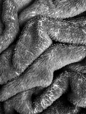 Soft, textured fabric with a fuzzy, plush appearance, displaying folds and creases that create a sense of depth and coziness.