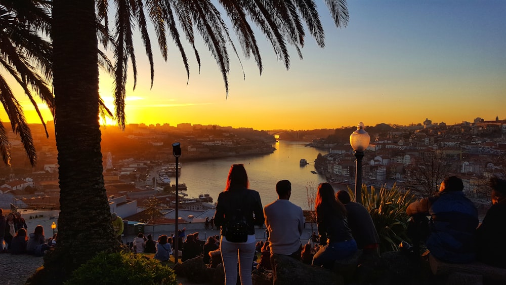 people sitting on bench near body of water during sunset