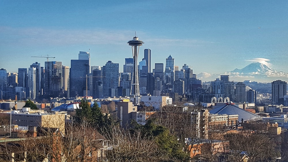 city skyline under blue sky during daytime