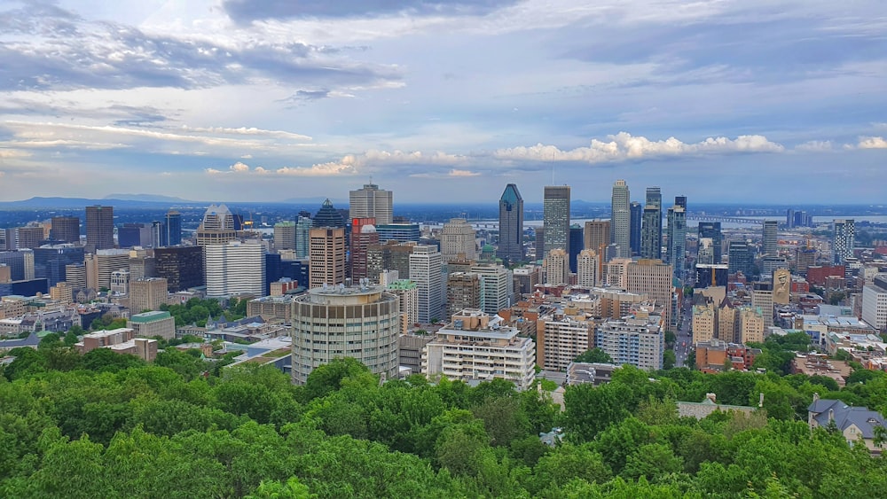 city buildings under blue sky during daytime