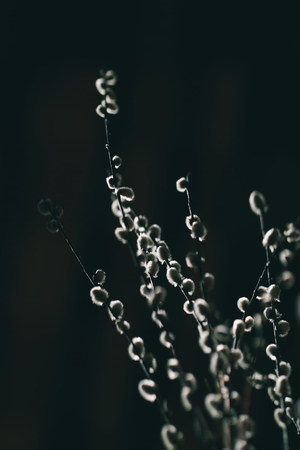 water droplets on black background