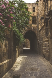 brown brick arch with green vines