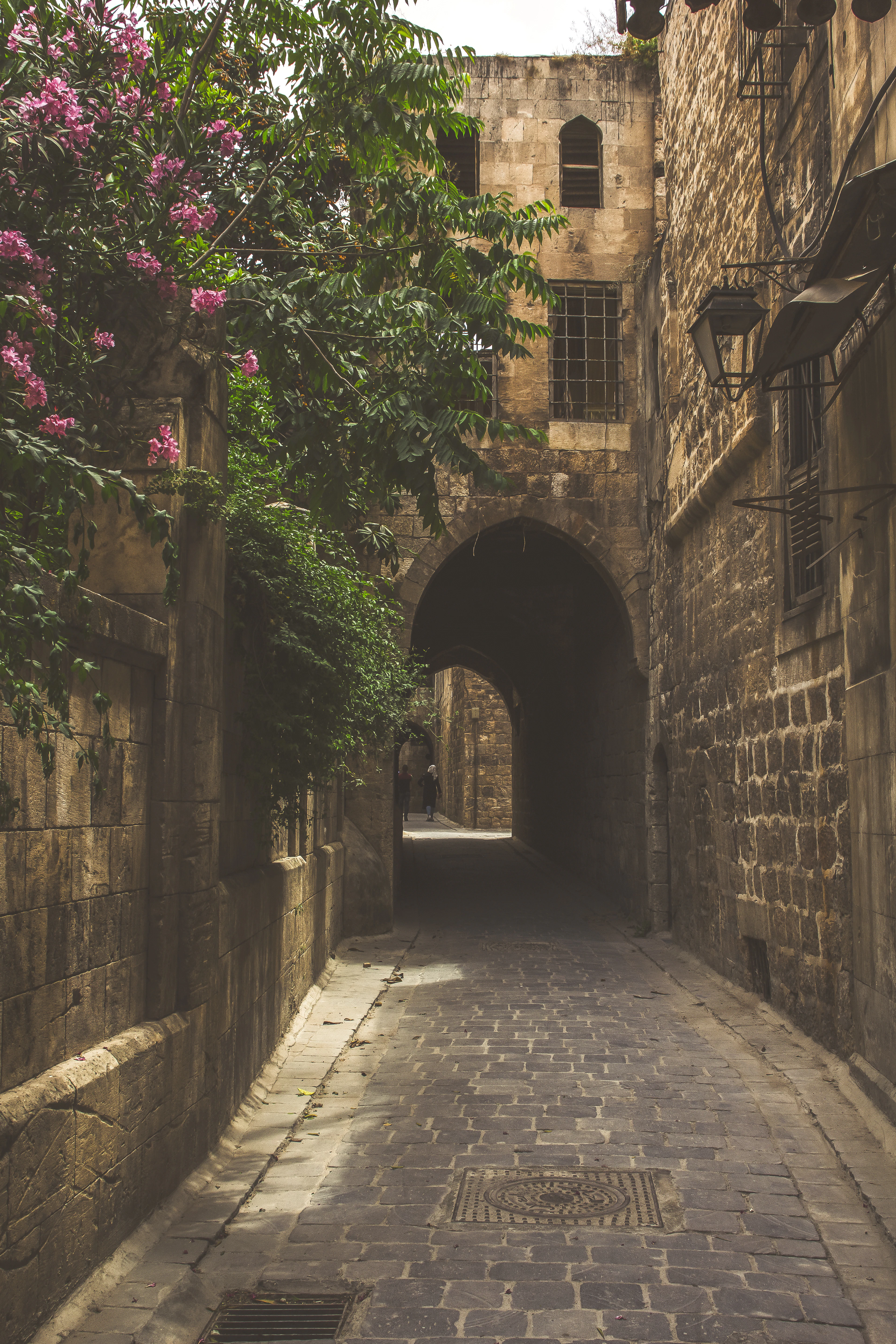 Syria landscape