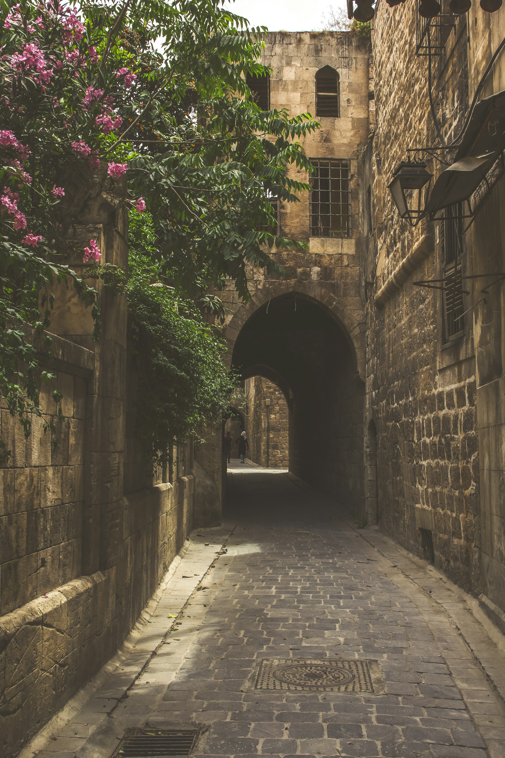 Exploring Syria's Authentic Cuisine: Local Dishes, Restaurants & Recipes