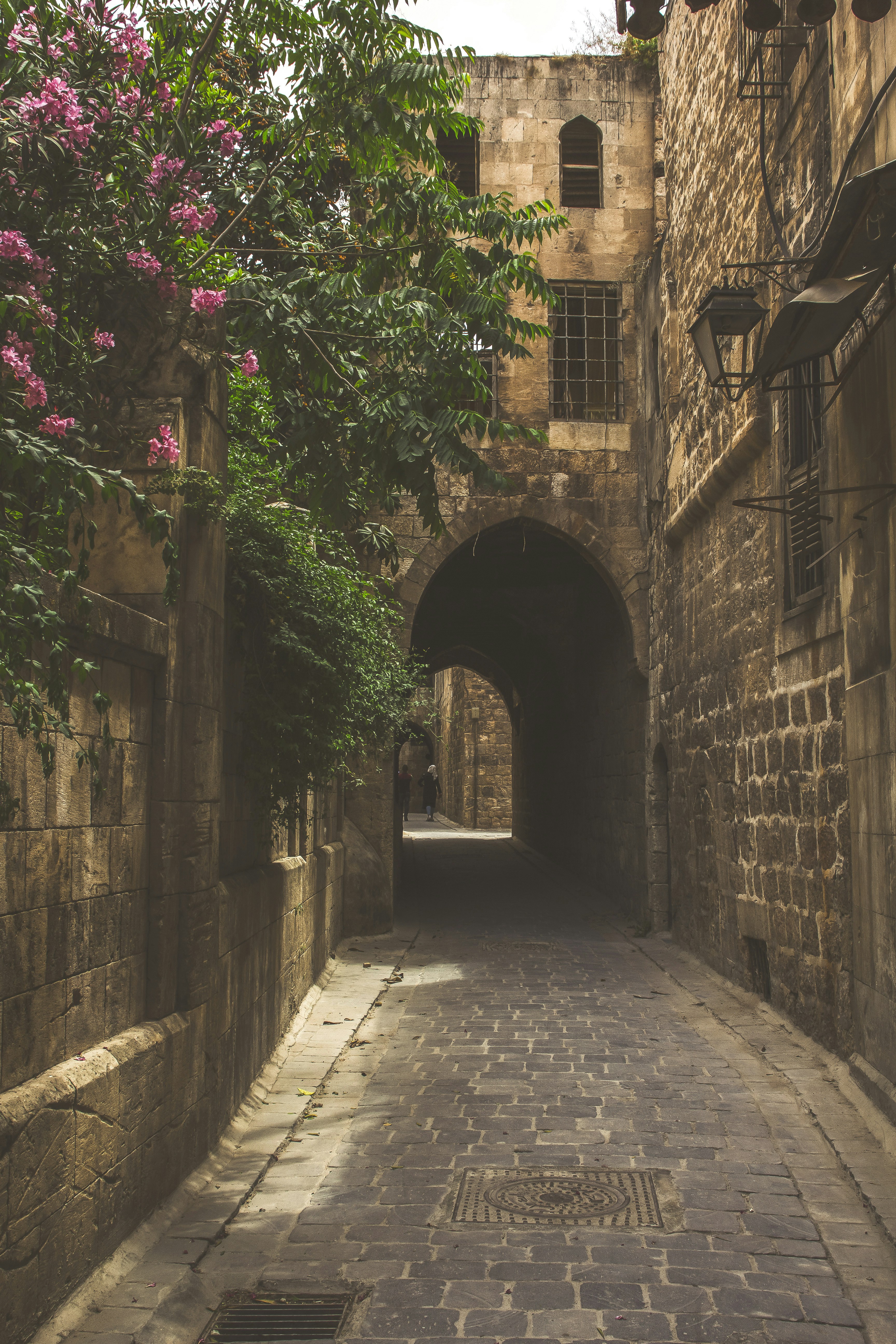 brown brick arch with green vines