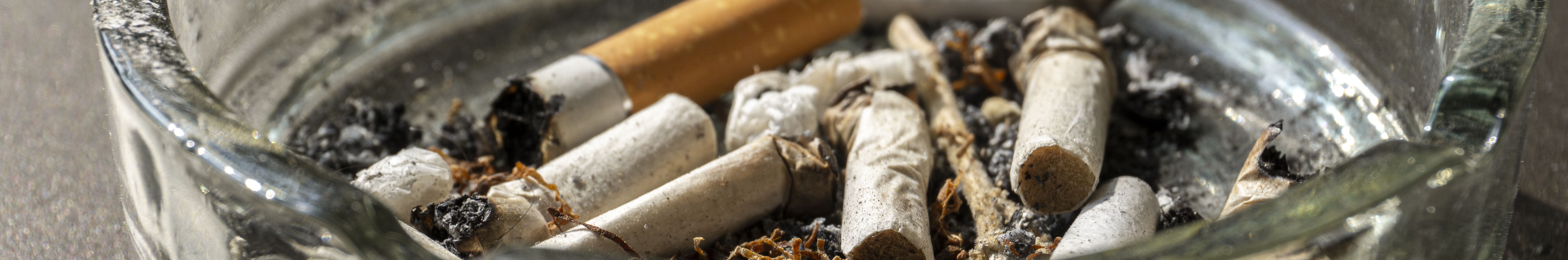 Japan Tobacco's cigarette products contribute to the global disease burden