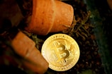 A golden Bitcoin coin partially buried in soil among pieces of broken terracotta pots, suggesting themes of cryptocurrency investment and growth.