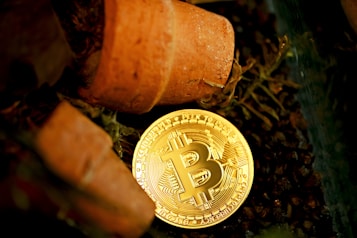 A golden Bitcoin coin partially buried in soil among pieces of broken terracotta pots, suggesting themes of cryptocurrency investment and growth.