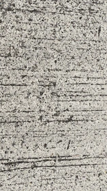 Close-up of smooth, freshly poured concrete surface ready for finishing