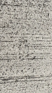 Close-up of smooth, freshly poured concrete surface with visible texture